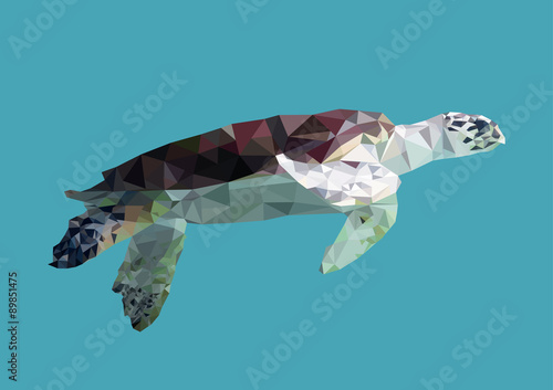 polygonal sea turtle, polygon geometric sea animal, isolated, ve