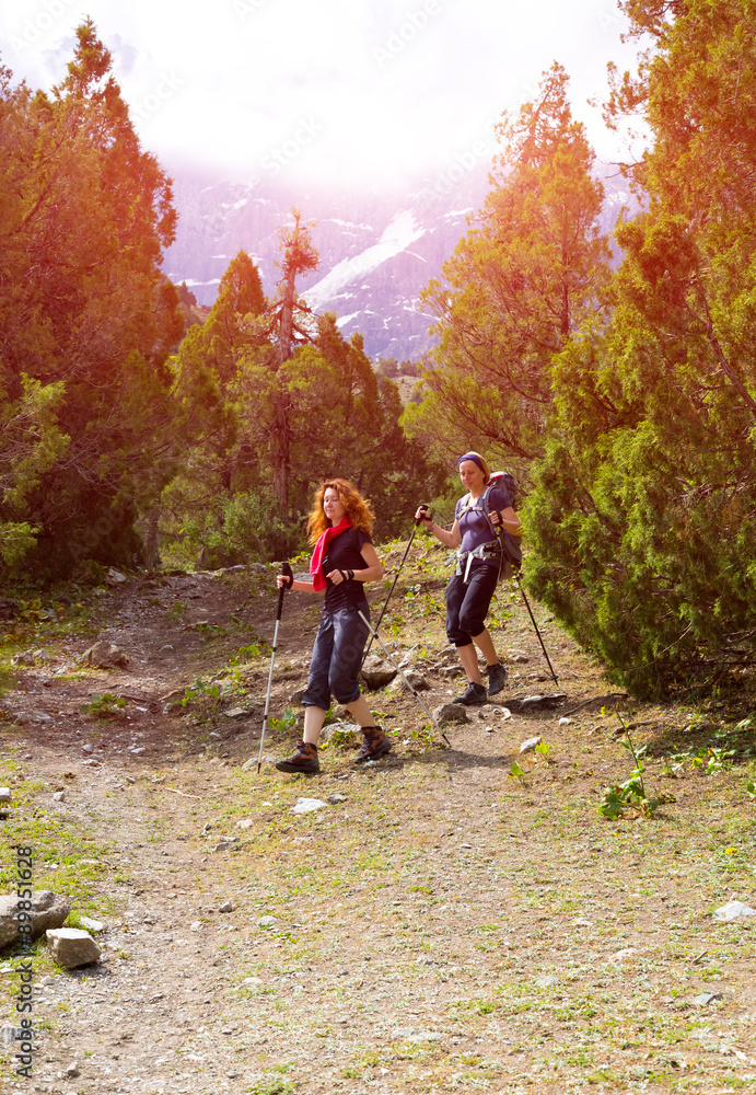 Hikers on forest trail Two people walking on footpath among high green mountain pine-trees with mountain view and sunlight on background Hikers on forest trail Two people walking on footpath among high green mountain pine-trees with mountain view and sunlight on background