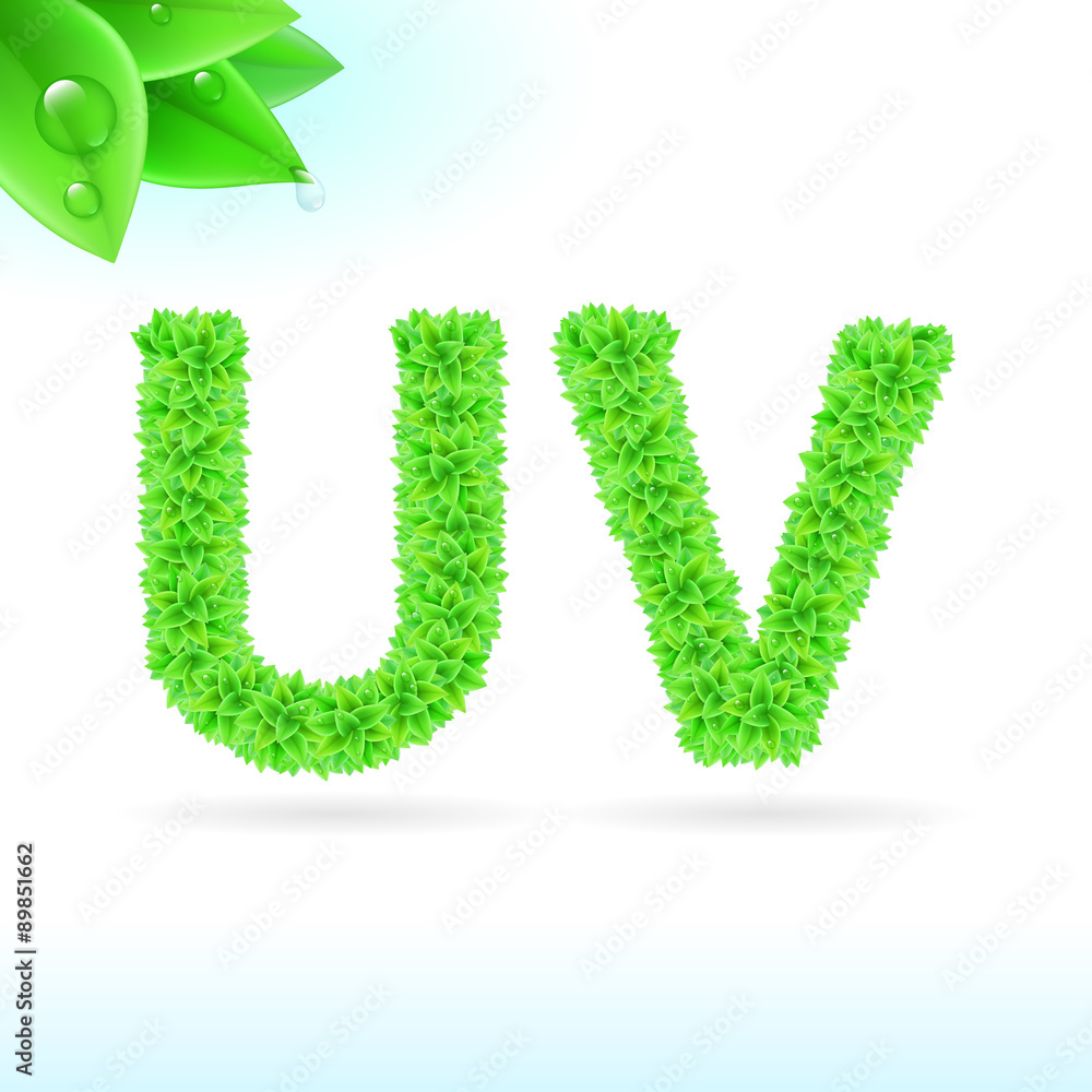 Sans serif font with green leaf decoration Sans serif font with green leaf decoration