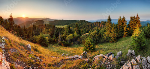 Spruce forest green mountain landscape panorama sunset, Slovakia © TTstudio