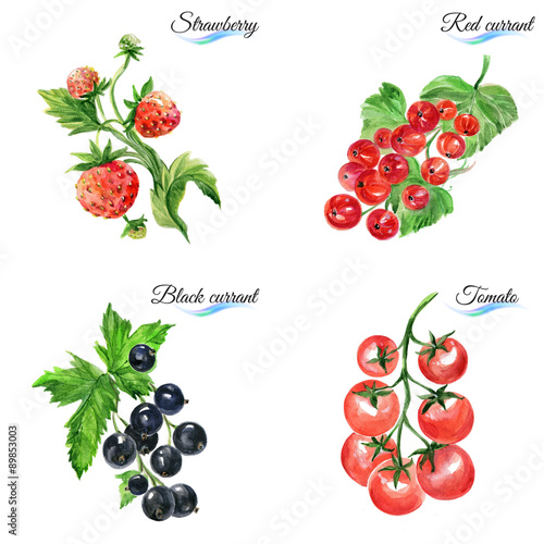 Watercolor fruits