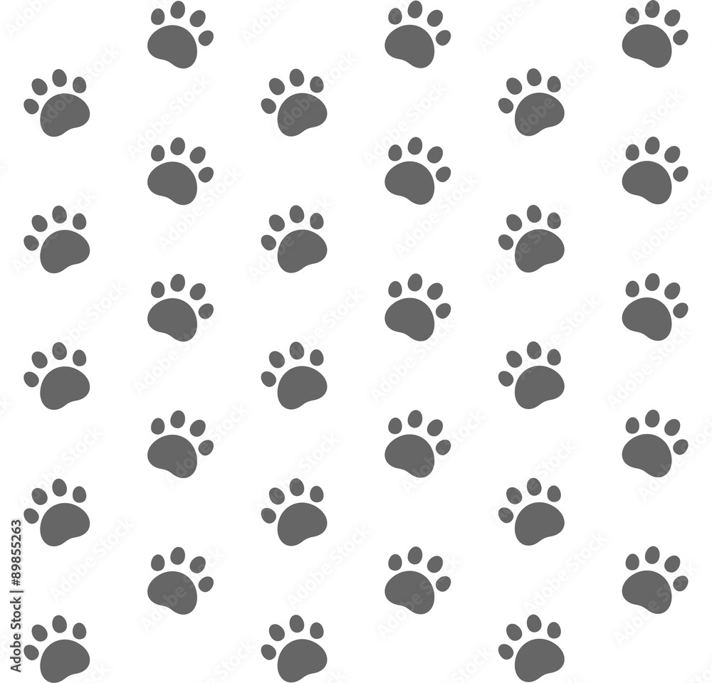 Cat. Pattern Cat. Pattern