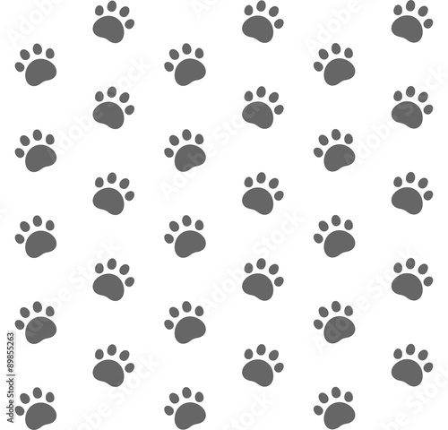 Cat. Pattern
