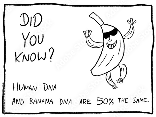 Human DNA - trivia cartoon