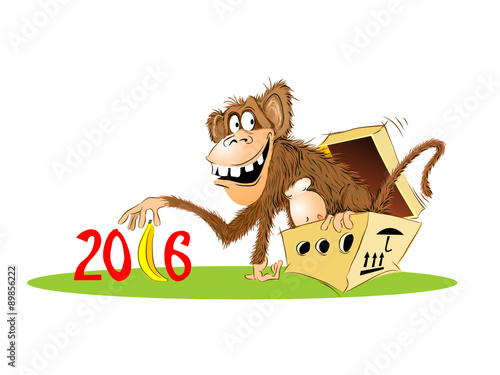 monkey 2016