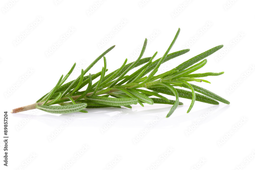 rosemary isolated on white background