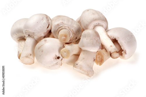 Mushrooms, isolated on a wite