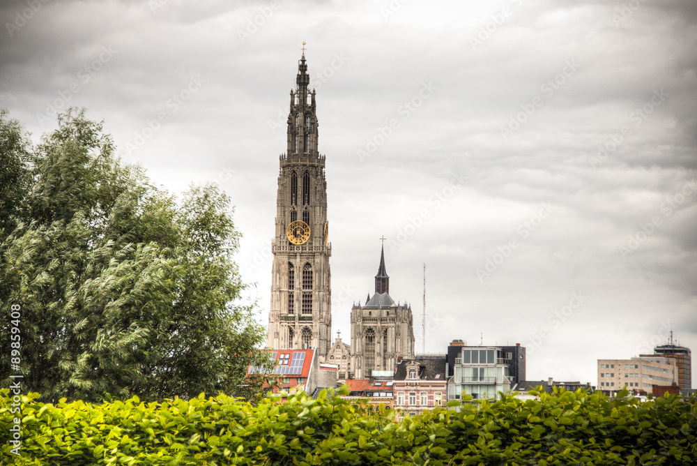 The cathedral of Antwerp, Belgium seen from behind the trees
