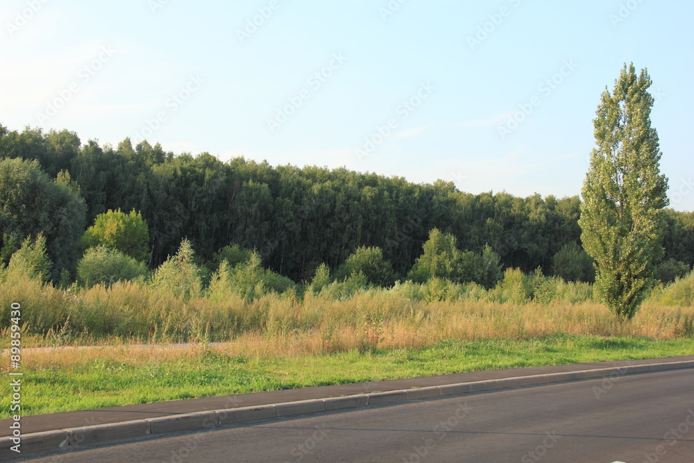 Naklejka premium парк