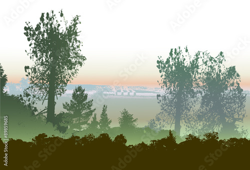 Panoramic forest landscape in the haze with silhouettes of trees and smoking chimneys 