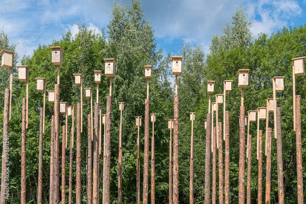 High-rise city of birds nesting boxes
