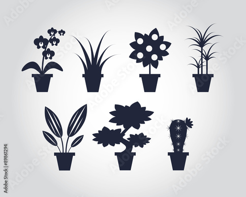 Flat style Houseplants