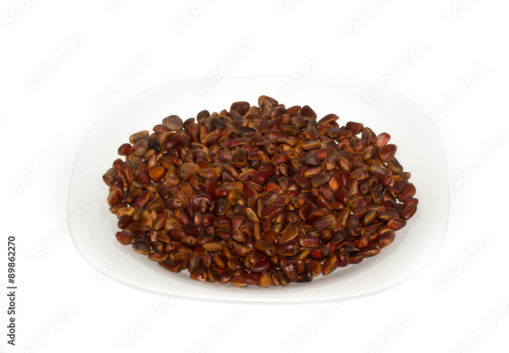 cedar nuts cedar nuts