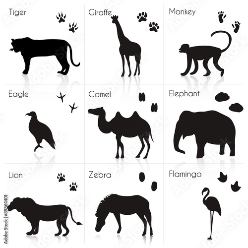 Set of Animal and Bird Trails with Name.