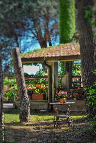 Tavolino con vaso di fiori in giardino