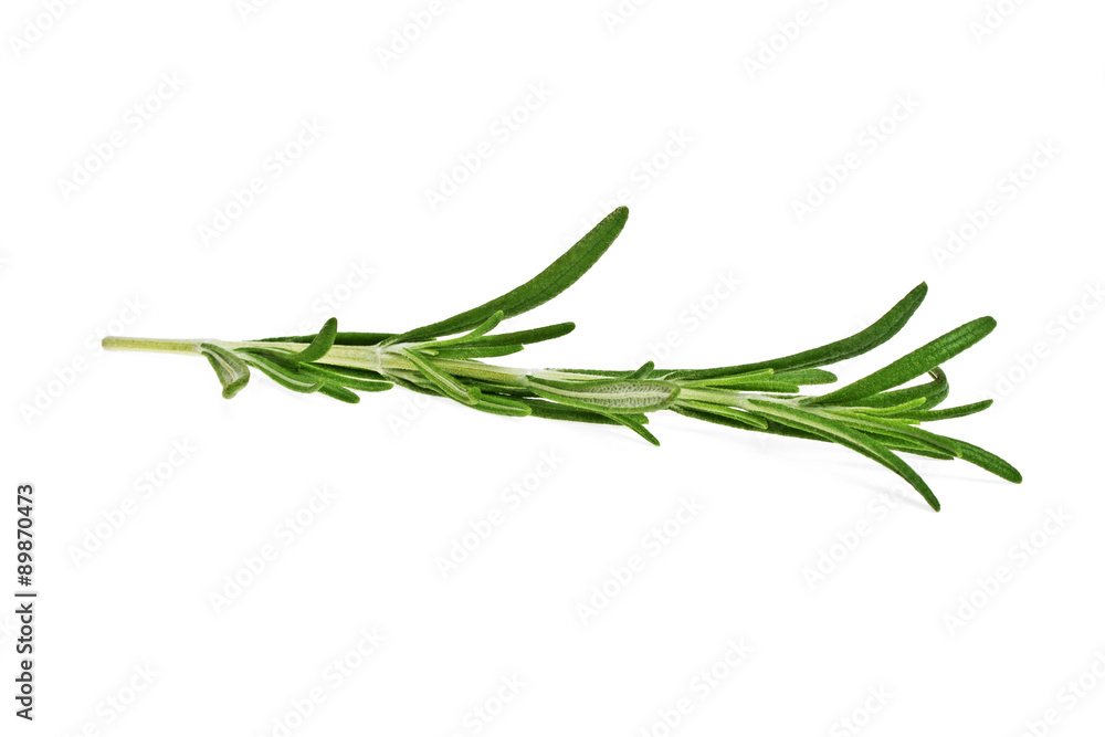 Fototapeta premium Rosemary isolated on white background