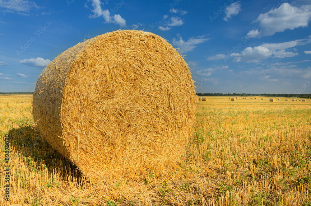Haystack in the field