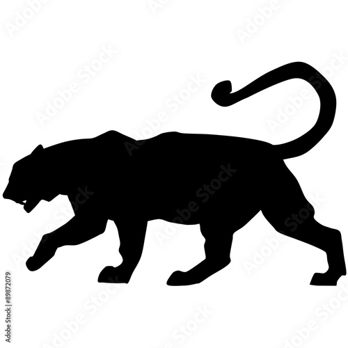 Fototapeta Naklejka Na Ścianę i Meble -  Vector black tiger is walking and roaring loudly