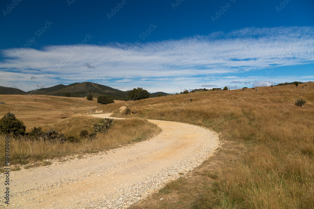 Road through a dry meadow, farm