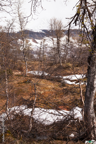 Norway Landscape, Sysen Dam,near Eidfjord 