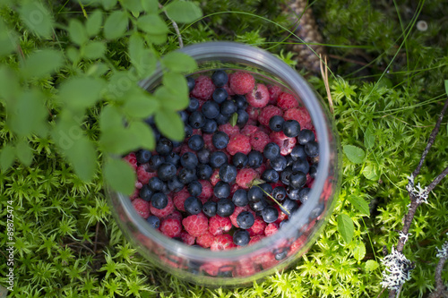 The jug with raspberries and blueberries on the moss