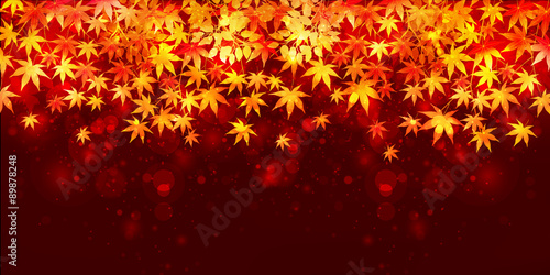 もみじ　紅葉　背景