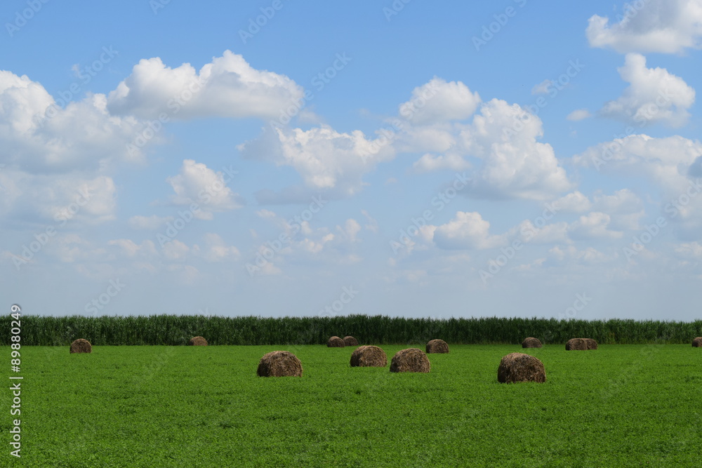 Haystacks in the field Haystacks in the field
