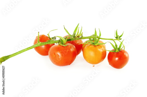 Wallpaper Mural red ripe tomato Torontodigital.ca