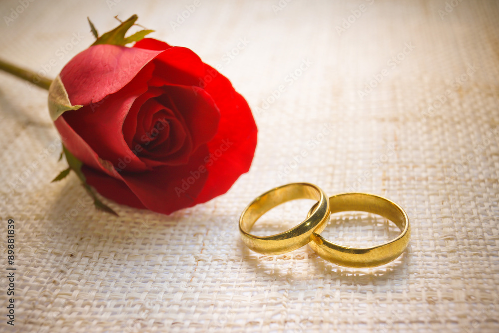two wedding rings on cloth texture with a red rose