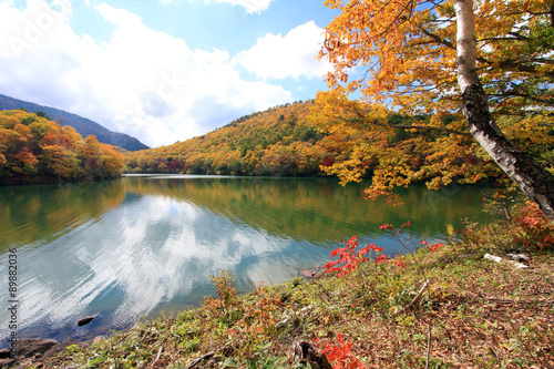 琵琶池の秋