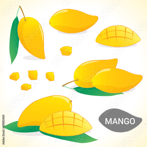 Set of yellow ripe mango in various styles vector format