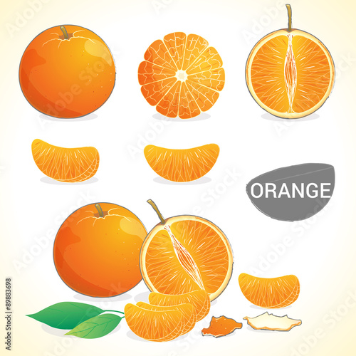 Set of orange fruit  in various styles vector format