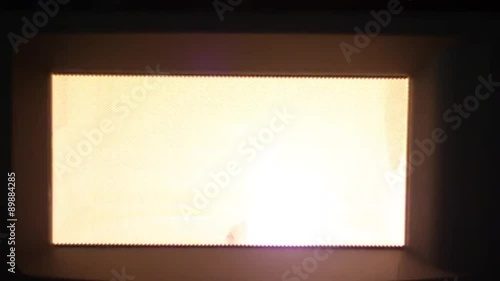 Microwaving Light Buld