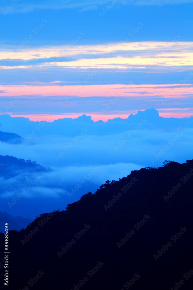 Obraz premium Cameron Highland, Malaysia..