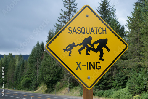 Sasquatch Crossing photo