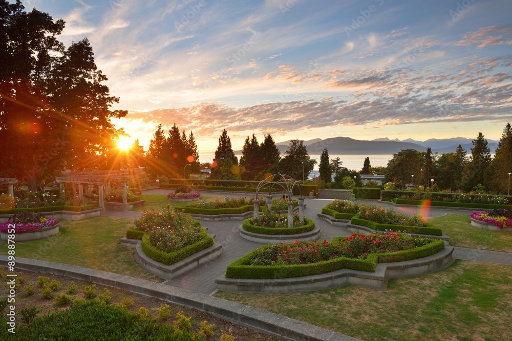 Naklejka premium UBC Rose Garden at sunset