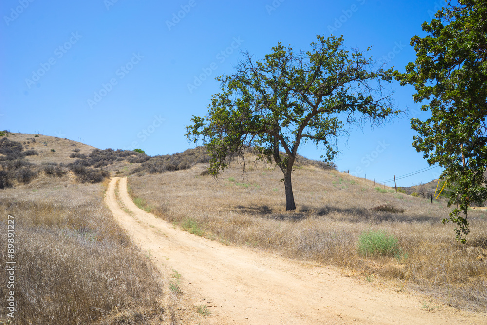 Fototapeta premium Dirt Road in Drought Wilderness