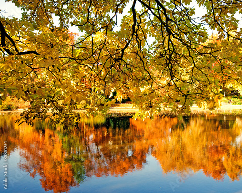 Fototapeta Naklejka Na Ścianę i Meble -  Wonderful day in  autumn at a silent like :)