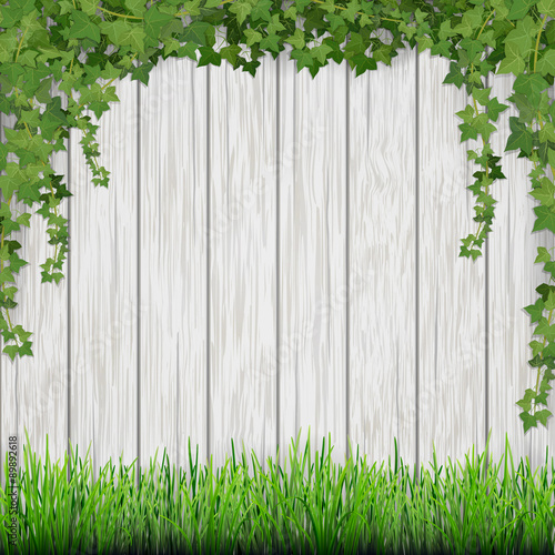 Grass and hanging ivy on white vintage wooden planks background.