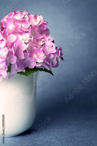 the sweet  hydrangea flowers in white vase on grunge background