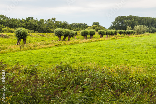 Picturesque Dutch landscape on a cloudy summer day