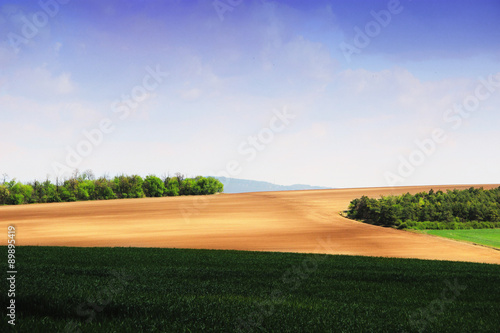 Spring Hills with Trees and Clouds