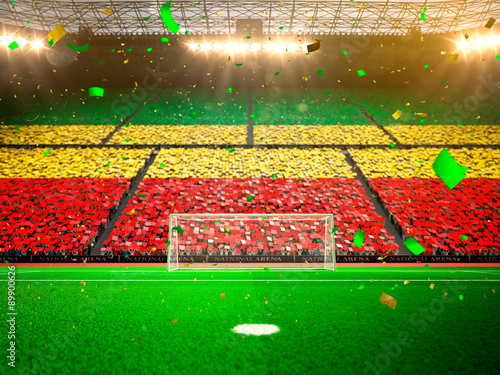 Flag of fans! Evening stadium arena soccer field championship win! Confetti and tinsel   © Anna Stakhiv