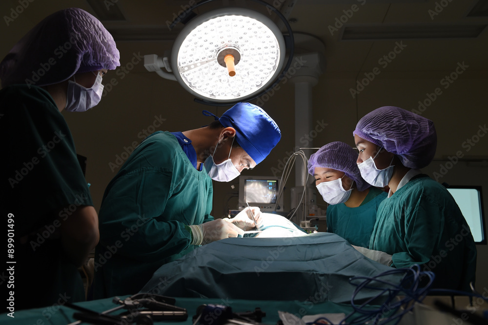 group of veterinarian surgery in operation room group of veterinarian surgery in operation room