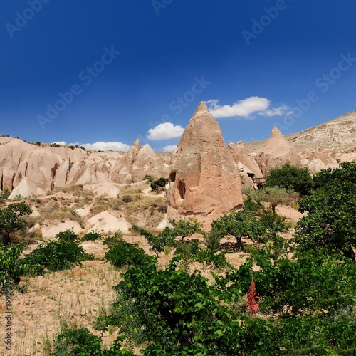Red Valley and Rose Valley Cave City Valley Panorama in Cappadocia Turkey