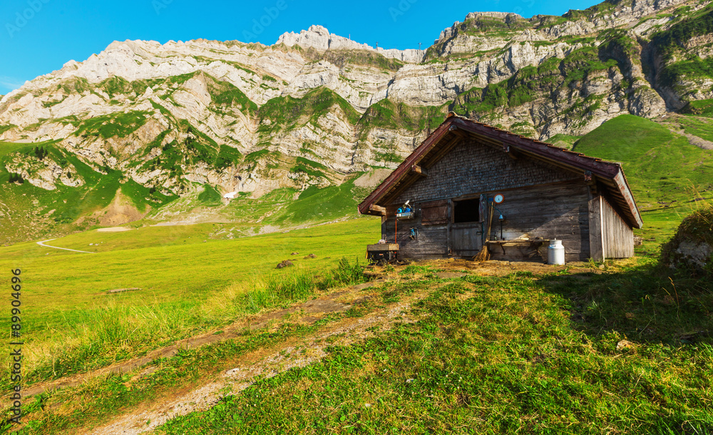 Typical European Alpine landscape, pastures and mountains Typical European Alpine landscape, pastures and mountains