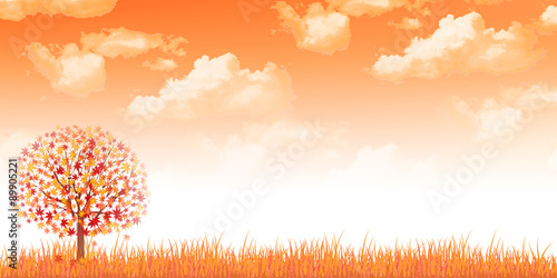 もみじ　紅葉　背景