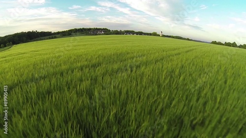 Sommer
