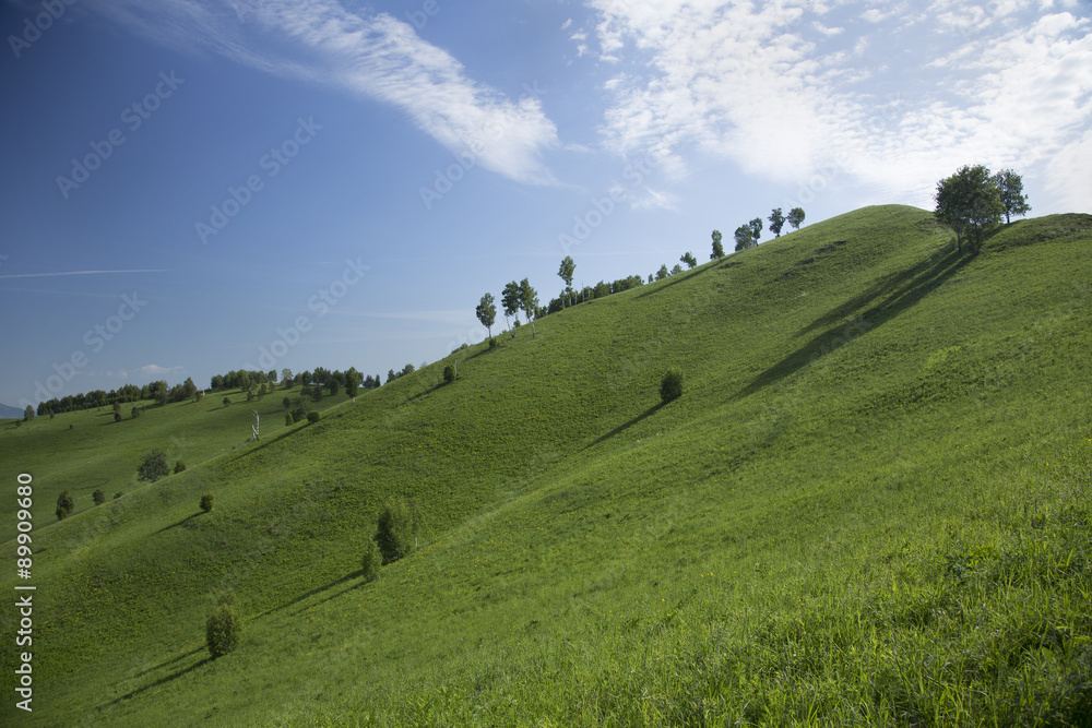 hills with grass and trees