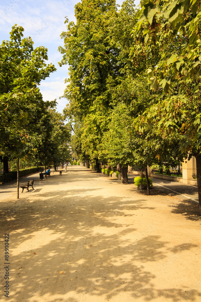 alley in the park - Wroclaw